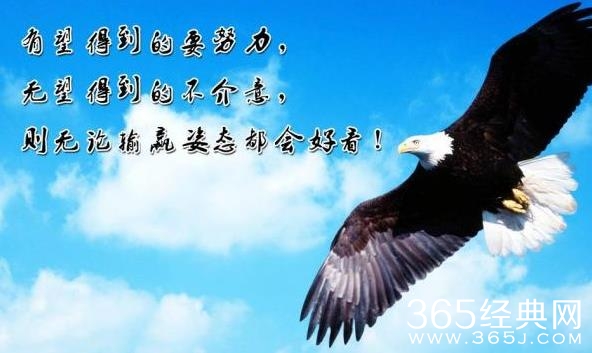 要么滚回去，要么拼