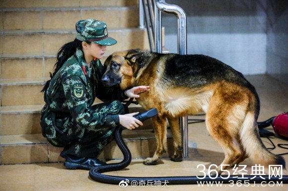 【综艺甜饼】第10期：《奇兵神犬》中这个张馨予，莫名有点可爱呢！