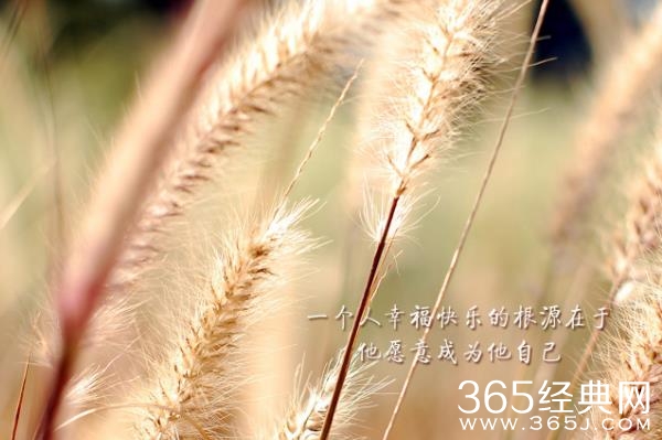 业余时间决定成功