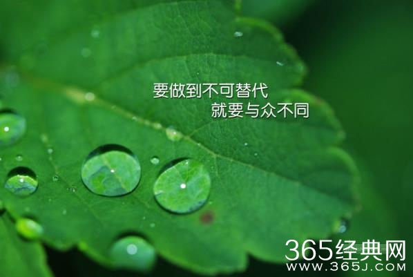 干大事的从来不要脸