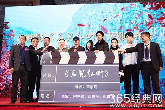 又见红叶主演有谁 又见红叶电影讲述了什么故事