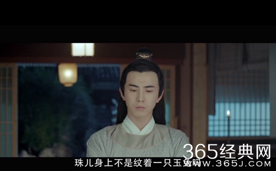 开封奇谈珠儿肩上的图腾是什么意思 开封奇谈珠儿肩上的图腾是哪里的