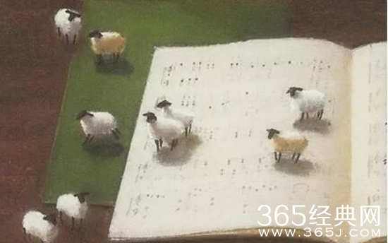 羊与钢的森林电影将于什么时候上映 羊与钢的森林电影上映时间介绍