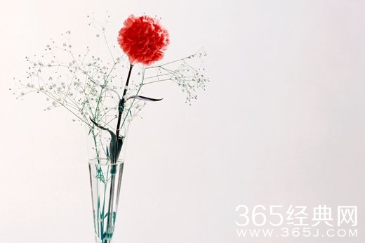 关于幼儿园教师的爱心格言