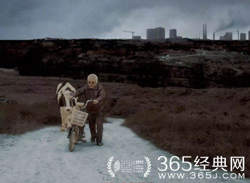 老兽电影好看么 老兽电影什么时候上映