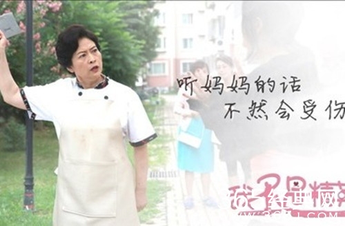 我不是精英谁当上小区业委会主任了 我不是精英是韦晶妈妈还是米阳妈妈当选