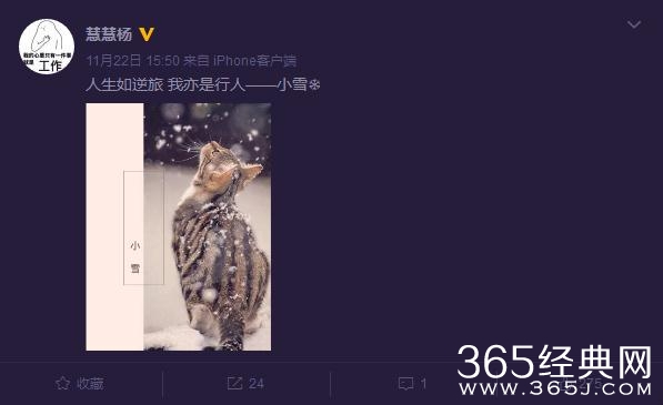 【娱情小卖部】第十二期：宋喆终于进去了，前妻杨慧发文感恩，宝强洗刷耻辱