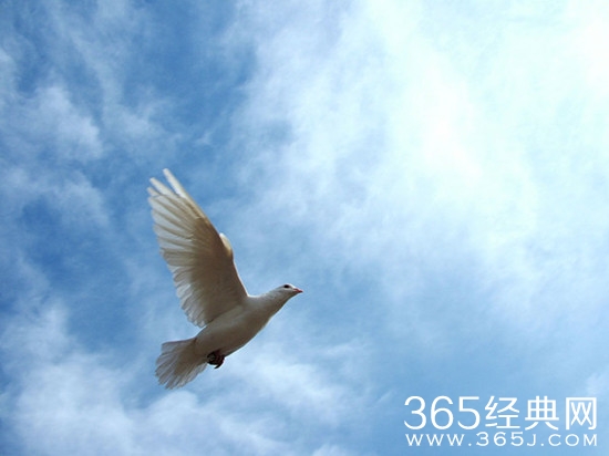 朝着一定目标走去是志