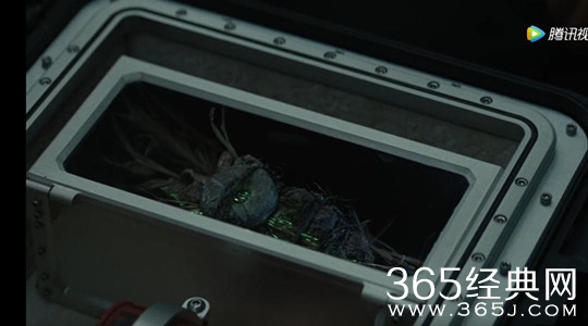 【就是个水槽】第九期：不是神奇女侠！DC中的这个女人竟然达成了蝙蝠侠都没有的成就