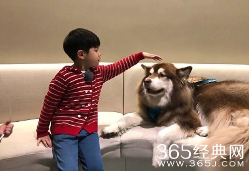 沙溢和王思聪是什么关系 安吉为什么会和王可可在一起