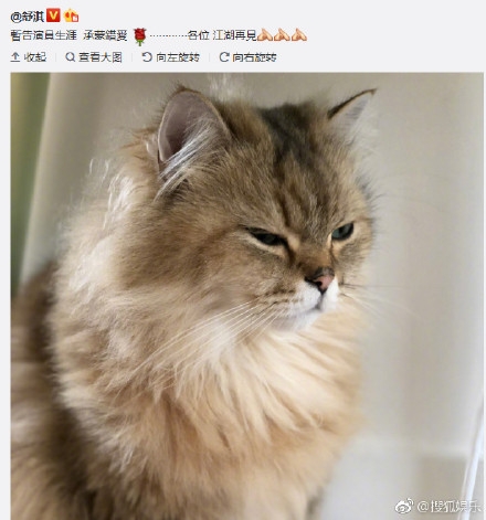 舒淇息影是真的吗 舒淇怀孕了吗