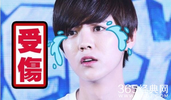 【红绿鲤娱】第十期：深夜宣布息影暂别娱乐圈 舒淇你究竟在搞什么