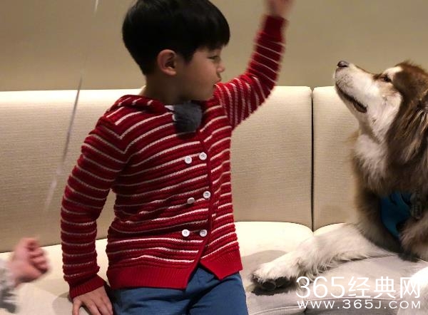 安吉王可可同框是怎么回事 安吉王可可为什么同框