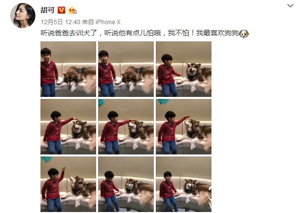 安吉王可可同框是怎么回事 安吉王可可为什么同框