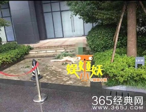 任娇和赵本山是什么关系 任娇是赵本山徒弟吗