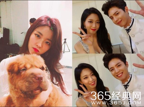 【综艺甜饼】第24期：中国跨年演唱会早已腻味，看看其他国家的跨年盛典之韩国篇