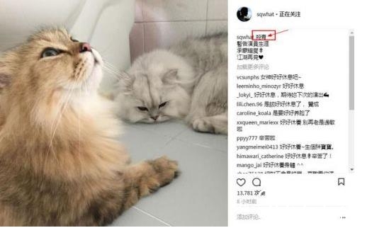 【红绿鲤娱】第十期：深夜宣布息影暂别娱乐圈 舒淇你究竟在搞什么