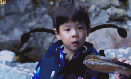 霍思燕嗯哼同款少女辫怎么做 霍思燕嗯哼同款少女辫软件哪里有