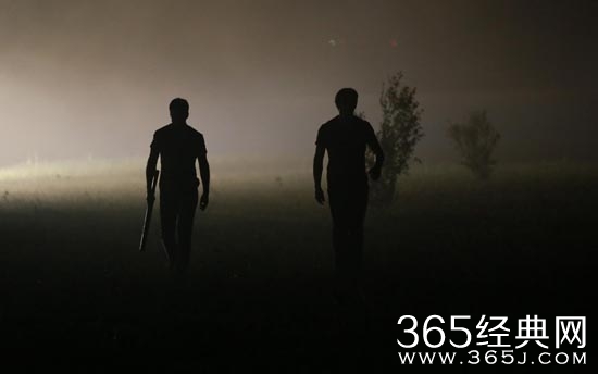 群狗电影讲了什么故事 群狗电影故事背景介绍