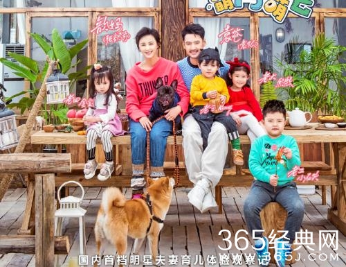 【综艺甜饼】第25期：2017年年末落下的精彩，不要犹豫，请一并收回