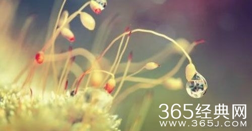 我不要往回看！我的过去教了我很多很多