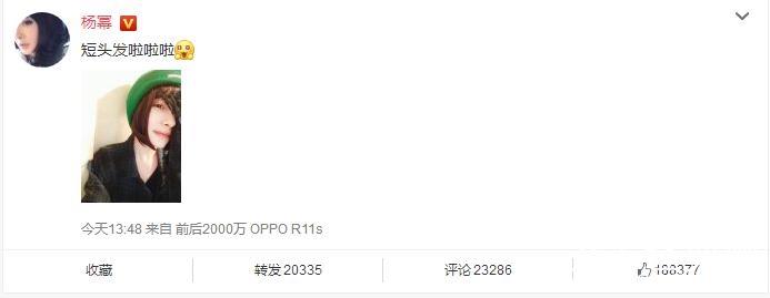 杨幂为什么要剪短发 杨幂短发照片曝光