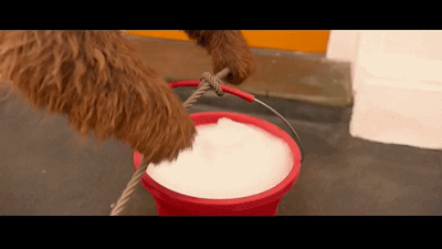 【侃侃殿影】第二十七期：帕丁顿熊2，告诉我们的七个处世哲学。