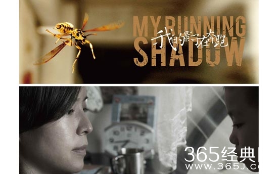 我的影子在奔跑电影讲了什么故事 我的影子在奔跑电影剧情介绍