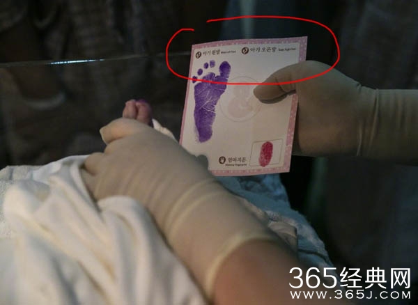 高梓淇和蔡琳儿子叫什么名字 高梓淇蔡琳儿子国籍是中国吗