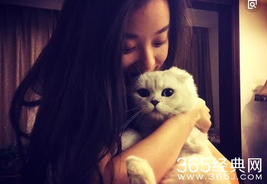 倪妮虐猫是什么情况 倪妮为什么虐猫