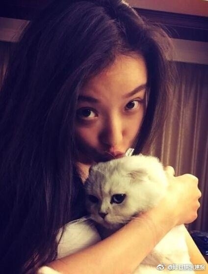 倪妮虐猫是真的吗 倪妮虐猫视频曝光