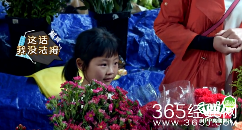 【侃侃殿影】第三十三期：张柏芝为他生子，王菲秒变少女，谢霆锋这三个撩妹技能，服！