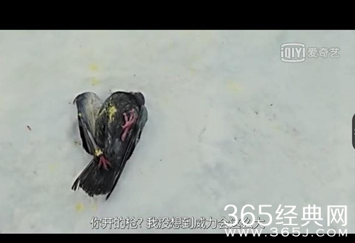 【就是个水槽】第十四期：听说恐怖电影孤儿怨有很多人都不敢看？给你个剧情自己体会