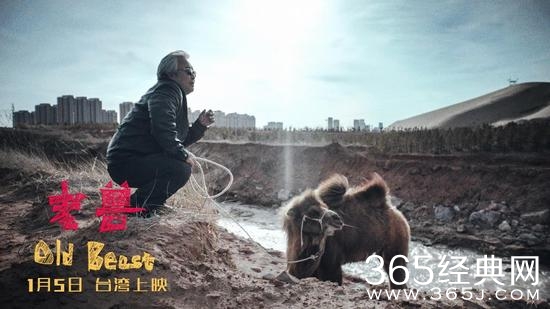 老兽电影台湾上映么 老兽电影台湾上映时间介绍