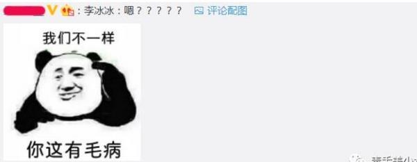 李冰冰被网红粉丝手撕是怎么回事  李冰冰被哪个个网红的粉丝手撕