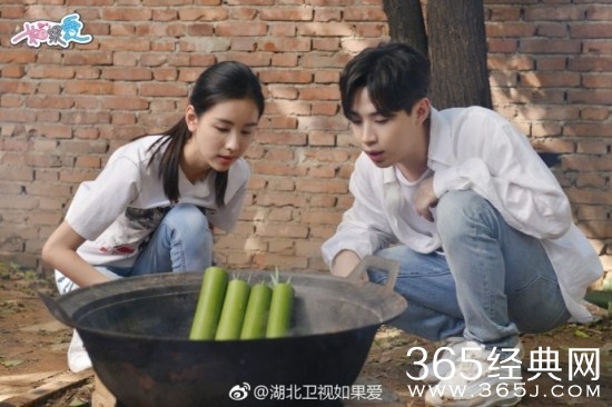 【综艺甜饼】第35期：刘宪华陈都灵真的在一起了，《如果爱4》一些细节甜齁了