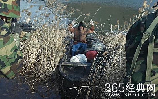 困兽之网电影讲了什么故事 困兽之网电影故事背景设定在什么时候