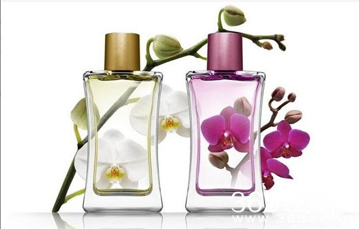 2017年圣诞节送什么礼物好 2017圣诞节送妹子什么礼物合适