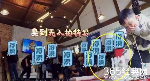 刘涛不满节目组拣屎安排发飙是什么情况 什么节目为什么安排刘涛拣屎