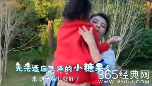 刘涛不满节目组拣屎安排发飙是什么情况 什么节目为什么安排刘涛拣屎