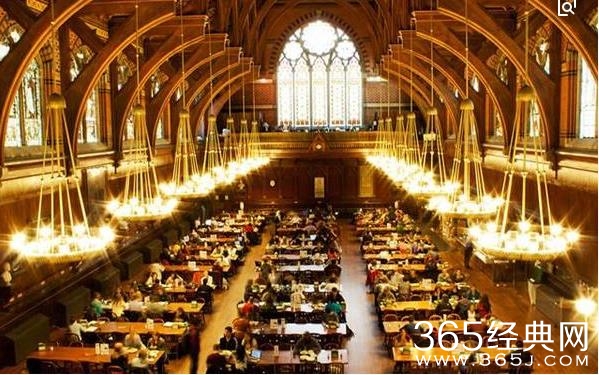 哈佛，凌晨4点半