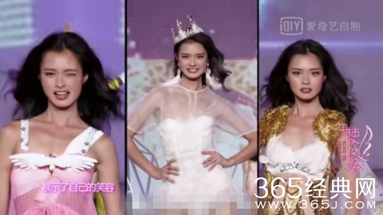 星星美人鱼参赛选手怎么有超模杨斯莹 杨斯莹为什么参加星星美人鱼