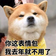 柴犬表情包大全 柴犬可爱表情包有哪些