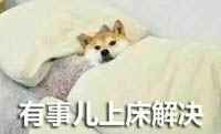 柴犬表情包大全 柴犬可爱表情包有哪些