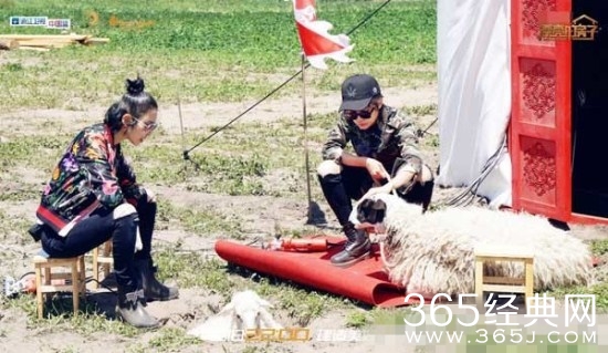 漂亮的房子唐艺昕向伊一发飙是怎么回事 唐艺昕向伊一发飙的原因