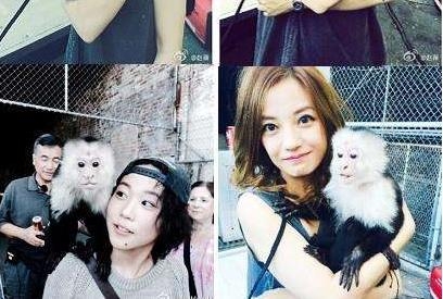 【红绿鲤娱】第十七期：揭秘窦靖童谜一样的朋友圈 和这些人竟然都是挚交