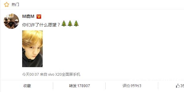 鹿晗圣诞节凌晨删粉丝微博评论是怎么回事 被鹿晗删掉的粉丝微博评论是什么