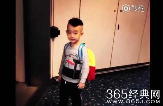 应采儿晒Jasper新发型 Jasper新发型什么样