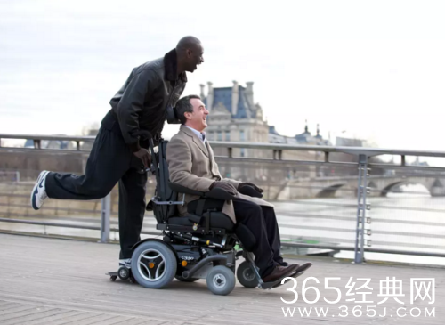 元旦适合看什么电影 2017元旦推荐电影介绍