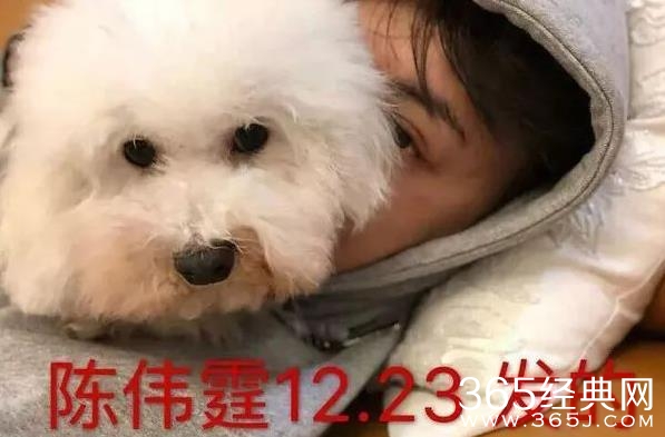 陈伟霆与巴西女友恋情曝光 陈伟霆的巴西女友身份资料简介